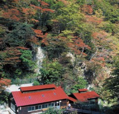 「大黒屋」の全景