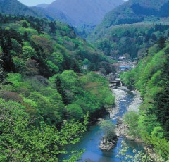 板室温泉の遠景