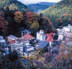 下部温泉の全景