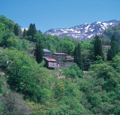 小谷温泉の全景