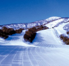 サンライバスキー場