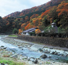 板室健康の湯グリーングリーン