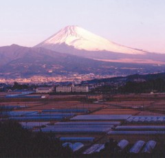 畑毛温泉の全景