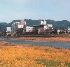 菜の花と筑後川の街並み