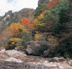 紅葉の石ヶ谷峡