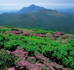 みやま霧島