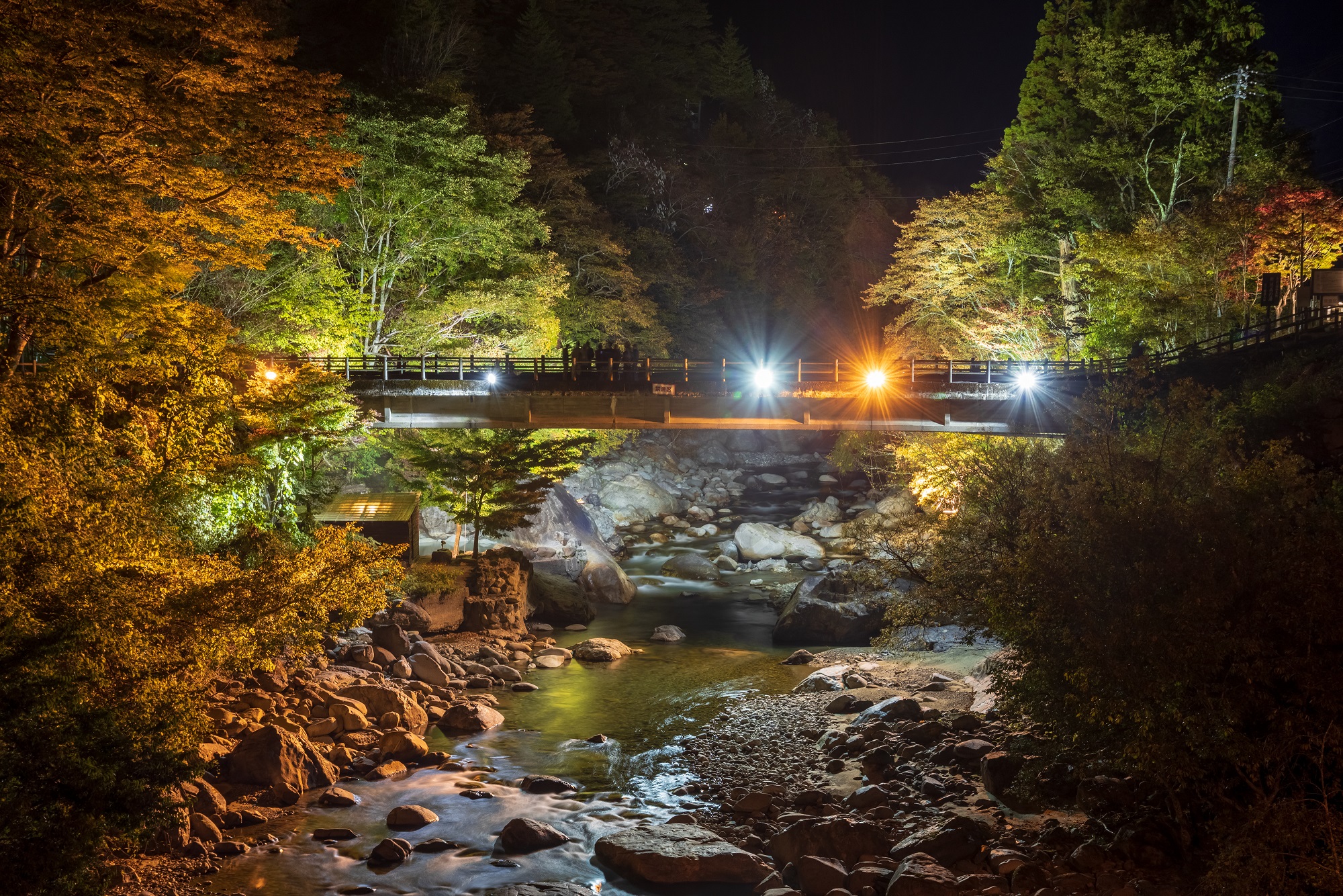 新 穂高 紅葉 散策 夜空 を 楽しむ 会