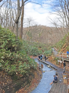 大湯沼川の天然足湯