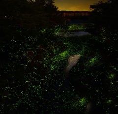 大谷川河川公園のホテル