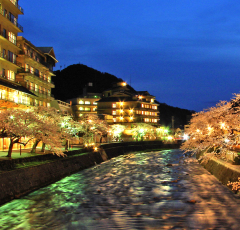 温海川の夜桜