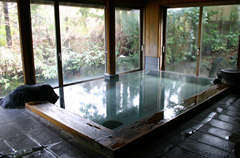 内湯 夢告の湯